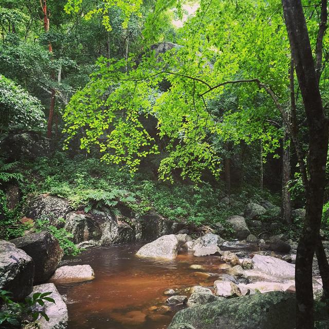 Nam Tok Huai Yang National Park